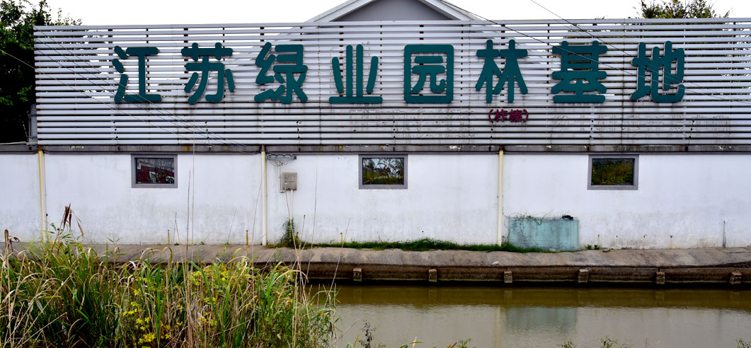 江蘇綠業園林基地